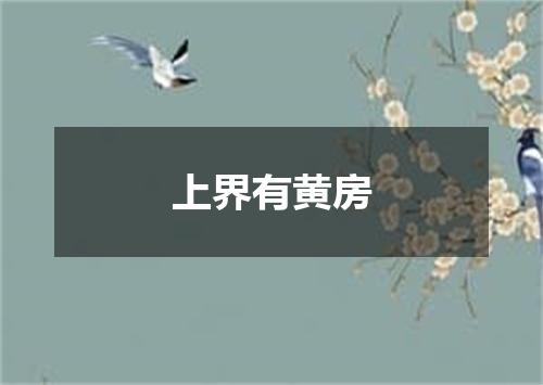 上界有黄房