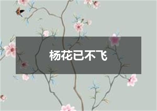 杨花已不飞