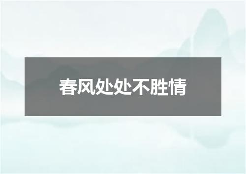 春风处处不胜情
