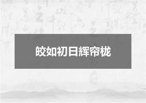 皎如初日辉帘栊