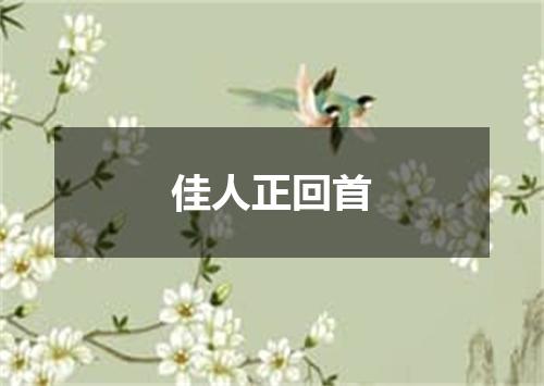佳人正回首