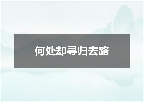 何处却寻归去路