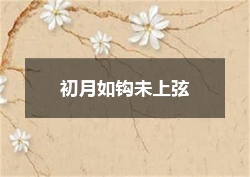 初月如钩未上弦