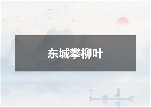 东城攀柳叶