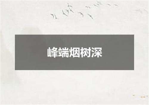峰端烟树深