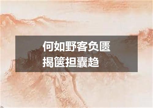 何如野客负匮揭箧担囊趋