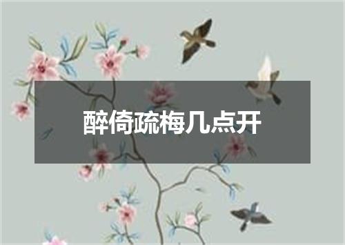 醉倚疏梅几点开