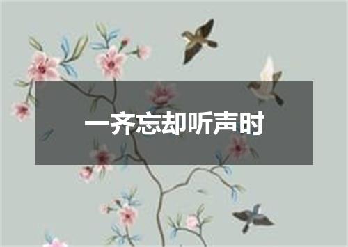一齐忘却听声时