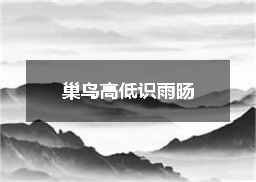 巢鸟高低识雨旸