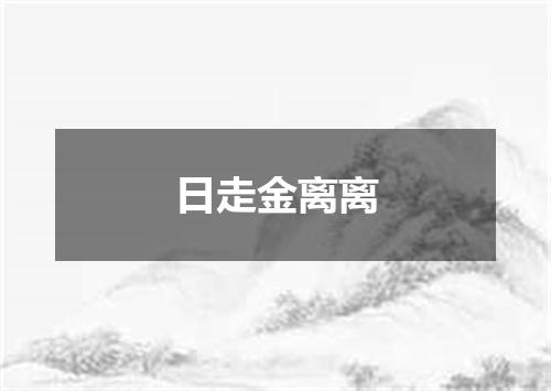 日走金离离