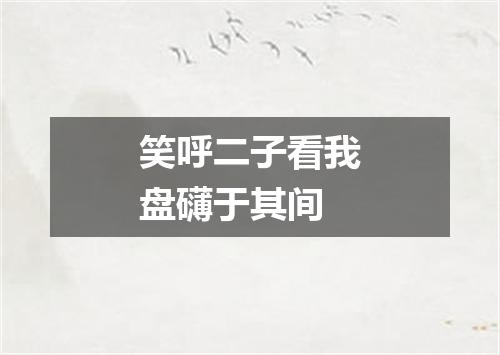 笑呼二子看我盘礴于其间