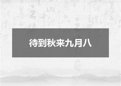 待到秋来九月八