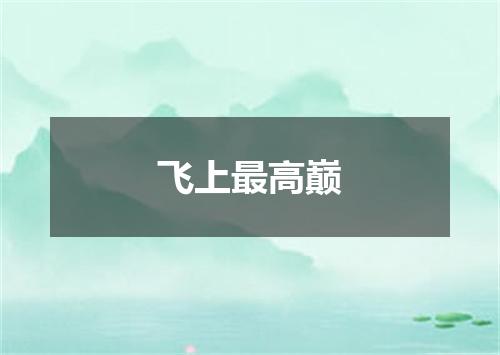 飞上最高巅