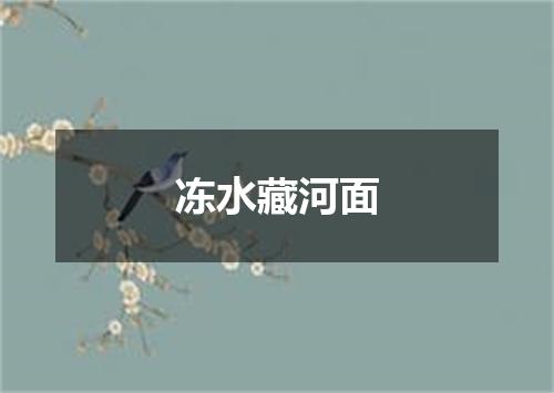 冻水藏河面