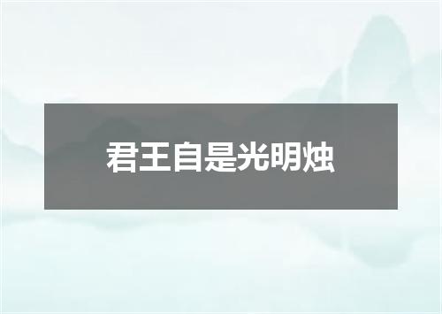 君王自是光明烛