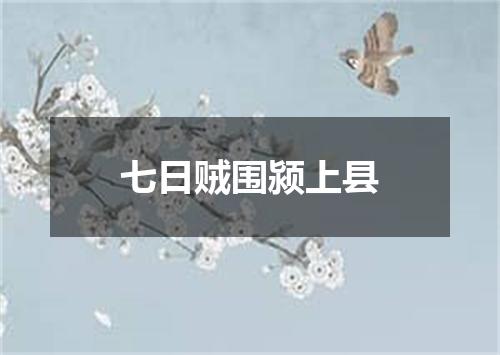 七日贼围颍上县