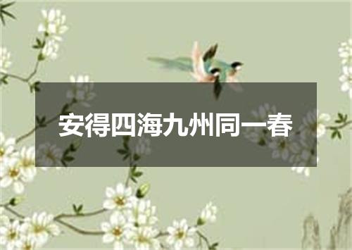 安得四海九州同一春