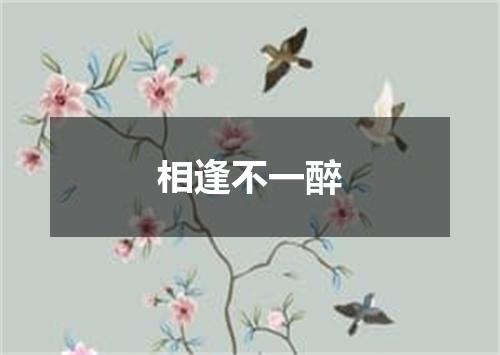 相逢不一醉