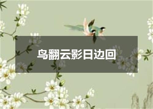 鸟翻云影日边回