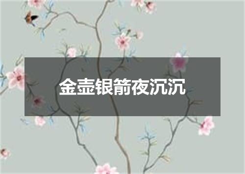 金壶银箭夜沉沉