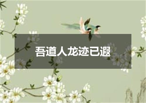 吾道人龙迹已遐