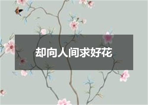 却向人间求好花