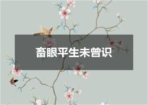 畜眼平生未曾识
