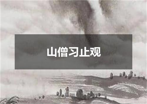 山僧习止观