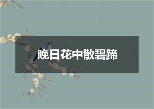 晚日花中散碧蹄