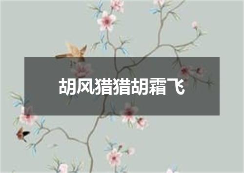 胡风猎猎胡霜飞