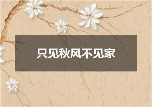 只见秋风不见家