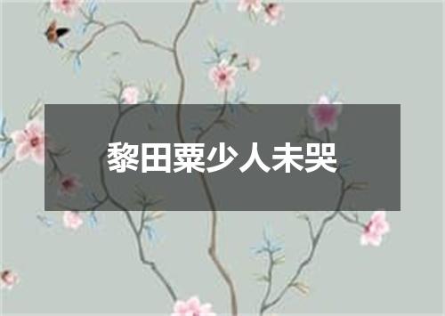 黎田粟少人未哭