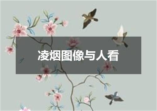 凌烟图像与人看