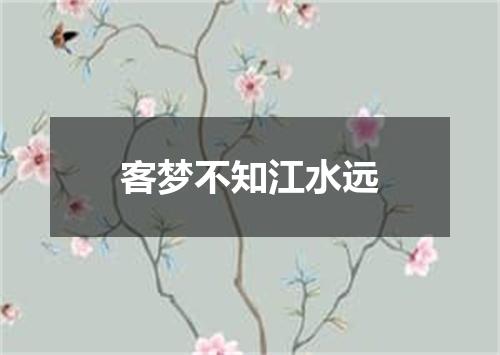 客梦不知江水远