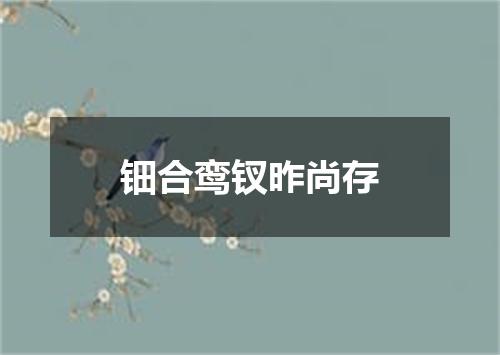 钿合鸾钗昨尚存