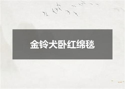金铃犬卧红绵毯