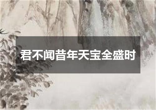 君不闻昔年天宝全盛时