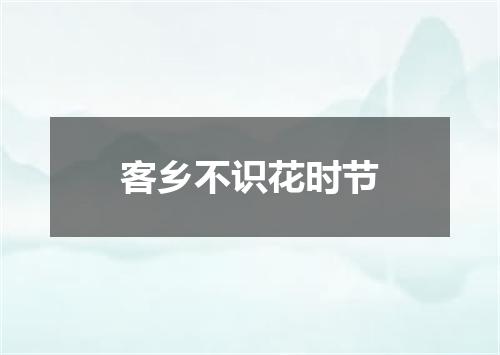 客乡不识花时节