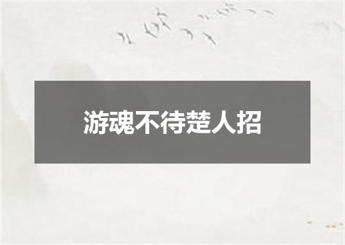 游魂不待楚人招