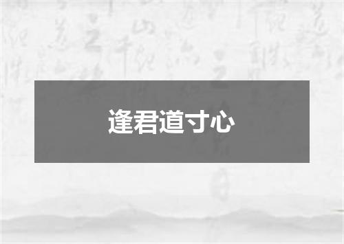逢君道寸心