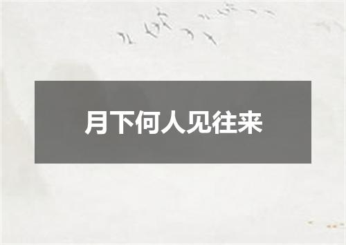 月下何人见往来