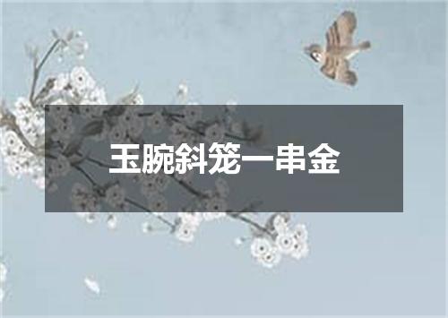 玉腕斜笼一串金