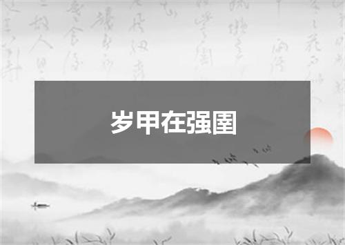 岁甲在强圉