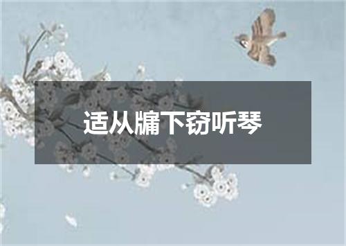 适从牖下窃听琴