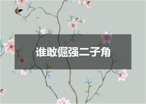 谁敢倔强二子角