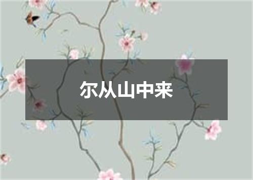 尔从山中来