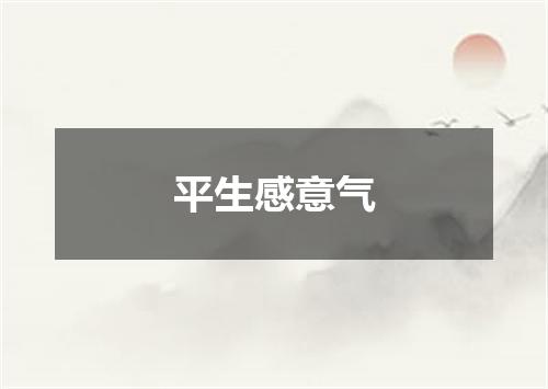 平生感意气