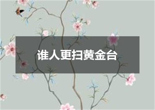 谁人更扫黄金台