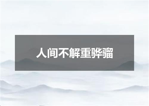 人间不解重骅骝