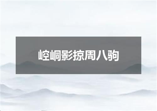 崆峒影掠周八驹